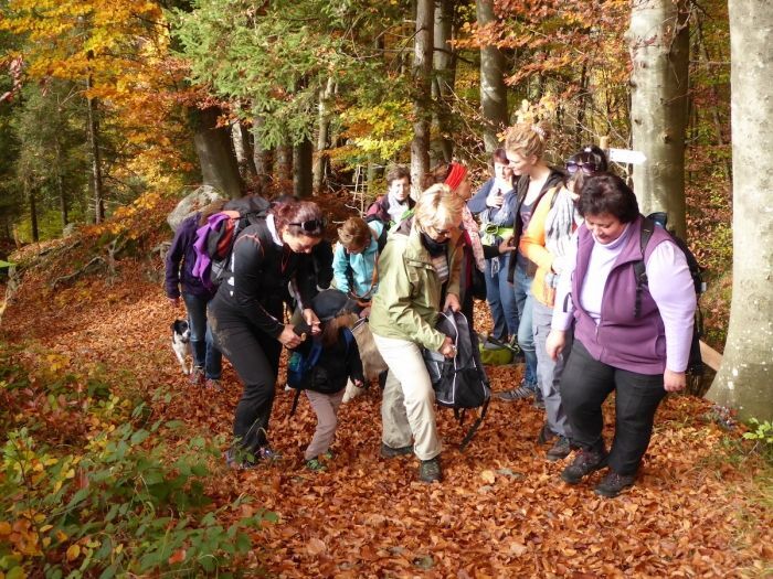herbstwanderung_31102015_15_20151108_1683819481